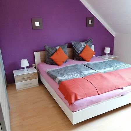 Ferienwohnung Mannes Lauingen Εξωτερικό φωτογραφία
