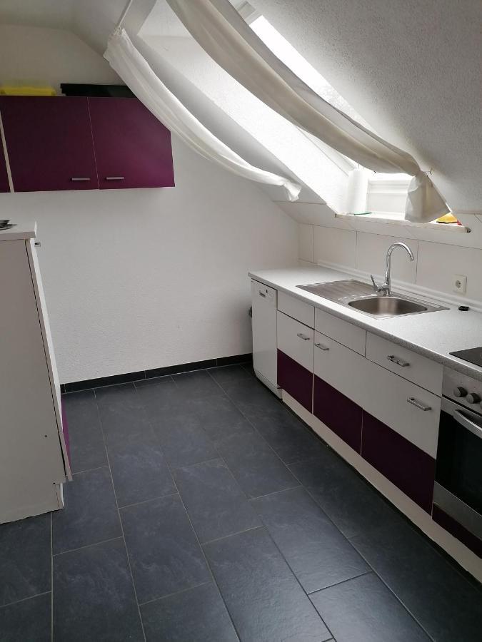 Ferienwohnung Mannes Lauingen Εξωτερικό φωτογραφία